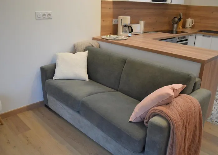 La Grange Aux Oiseaux Hébergement de vacances Saint-Amand-les-Eaux